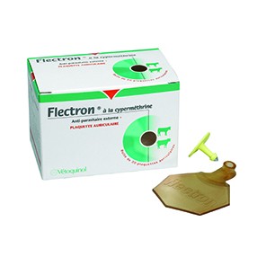 Flectron Boucles Boite de 20
