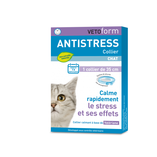 Stress du chat, quelles solutions pour y remédier ? - Chatterie Saint Cyle