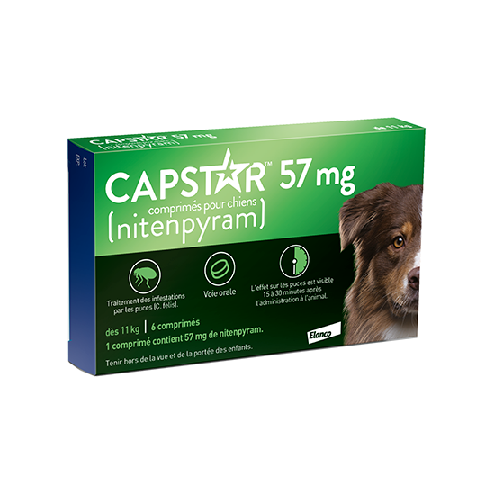 Capstar (57mg) Comprimés Anti-puces chiens Plus 11 Kg