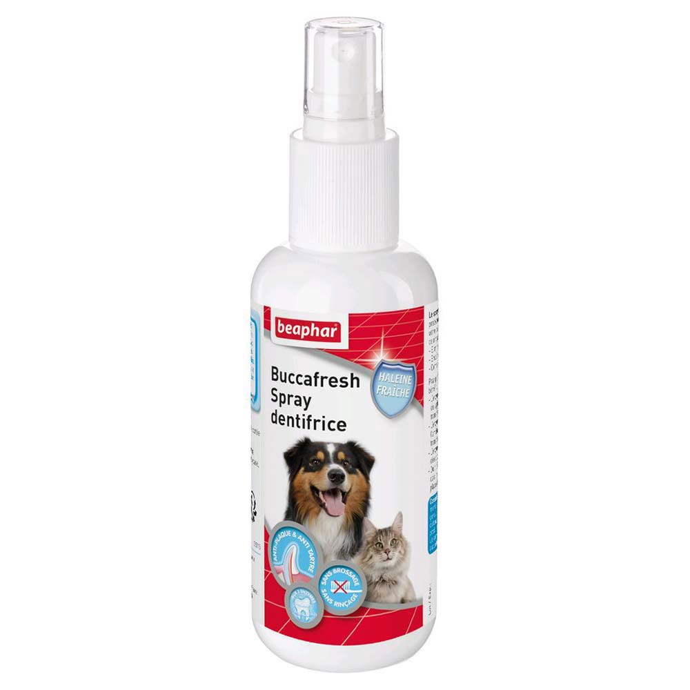 Mousse anti-puce naturelle sans rinçage pour chien et chat 150 ml - BEAPHAR