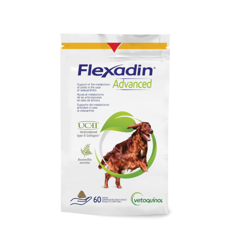 Flexadin Advanced chien - Soutien des articulations