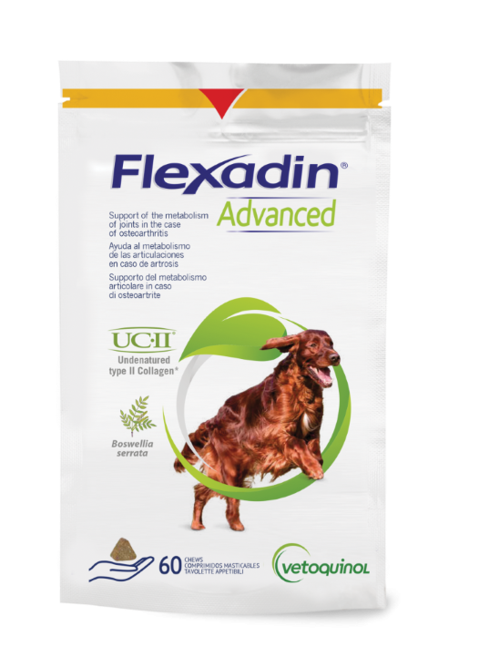 Flexadin Advanced Original Chews Chien (60 Bouchées) : les 60