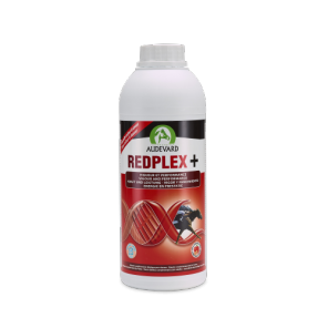 Redplex Plus