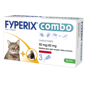 Fyperix Cobmo Chat