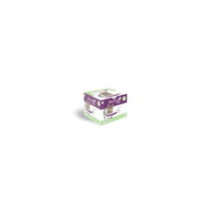 Vectra Felis 423 mg/42,3 mg Solution pour spot-on pour chats 12 pipettes