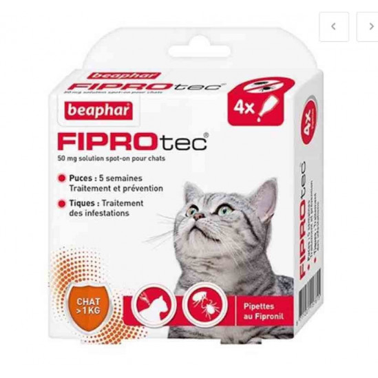 FIPROTEC 50 mg Solution pour spot-on chat plus de1kg 6 pipettes