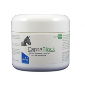 CAPSA BLOCK (EX ACTIVEX) pot 200g