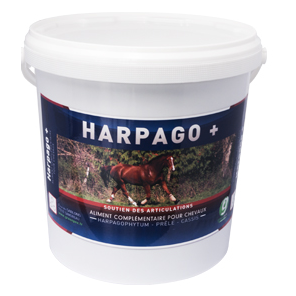 Greenpex Harpago+ 4.5kg