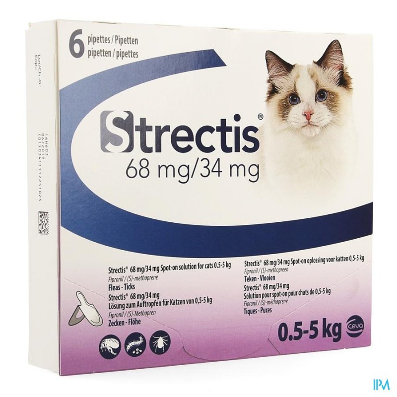 strectis chat 0.5-5kg