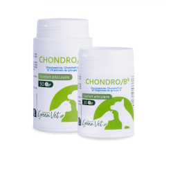 CHONDRO-B Comprimés – Green Vet – Boîte de 90 comprimés – Chien et Chat