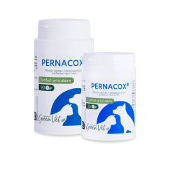 PERNACOX Comprimés – Greenvet – Boîte de 90 comprimés – Chien et Chat