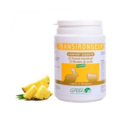 TRANSIRONGEUR Digestion Lapins et Rongeurs - Confort Digestif Naturel - Flacon 60 g