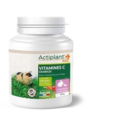 Actiplant' – Granulés Vitamine C pour Cobaye – 100 g