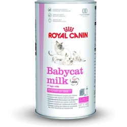 Royal Canin Babycat Milk - Nourriture pour chatons (300 g)