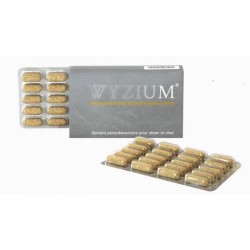 Wyzium 40 comprimés - Laboratoire Moureau