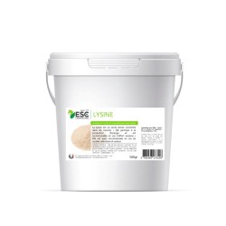 Esc Laboratoire Lysine + - 500g - Soutien de l’effort et développement musculaire cheval