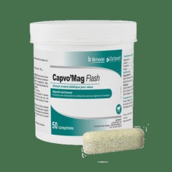 Capvo Mag Flash 15 gélules - Octavet