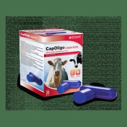 CapOligo Longue Action - Boîte de 20 bolus - Octavet
