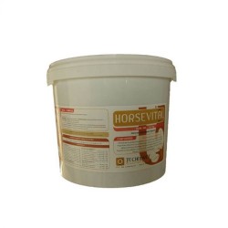 HORSE VITAL - Équilibre minéral et vitaminique pour les chevaux