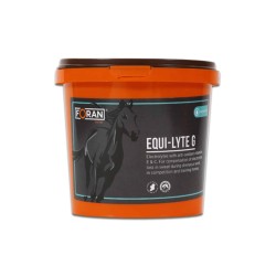 Equi Lyte G : Électrolytes et Vitamines pour Chevaux de Compétition