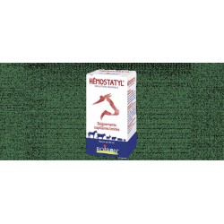 HEMOSTATYL Fl 30 ml solution buvable saignements capillaires limités