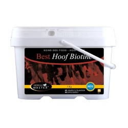 BEST HOOF GRANULES-BIOTINE Horse Master 2 KG: santé du sabot de cheval