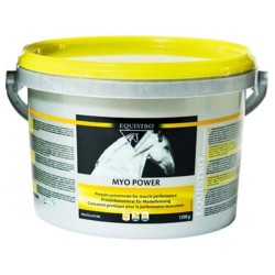 EQUISTRO MYO POWER : Concentré protéique cheval