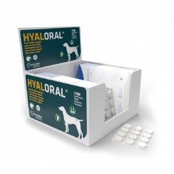 Hyaloral Grandes et Très Grandes Races – 60 comprimés