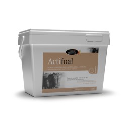 ACTIFOAL HORSE MASTER 10 KG