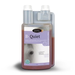 B-QUIET HORSE MASTER LIQUIDE 1 L