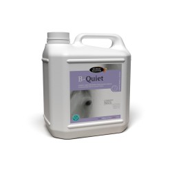B QUIET HORSE MASTER LIQUIDE 5 L