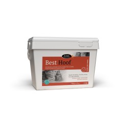 BEST HOOF HORSE MASTER 2 KG