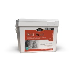 BEST HOOF HORSE MASTER 10 KG