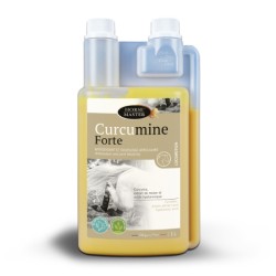CURCUMINE FORTE HORSE MASTER 1 L