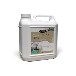 CURCUMINE FORTE HORSE MASTER 5 L