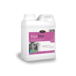 EQUIDIUR HORSE MASTER 1 L