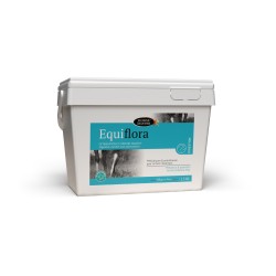 EQUIFLORA HORSE MASTER 1,5 KG