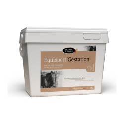 Equisport Gestation Horse Master 10 kg - Mineral Poulinieres