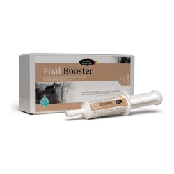 Foal Booster Horse Master poulain : boîte de 4 seringues