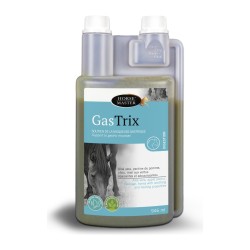 Gastrix Horse Master Confort Gastrique Cheval 946 ml
