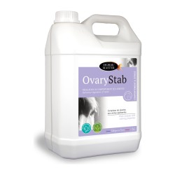 Ovary Stab Horse Master 5 L : curcuma pour jument, élevage